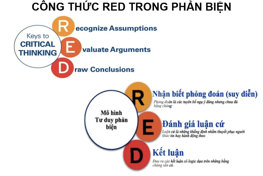 Cấu trúc văn bản phản biện