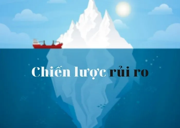 Chiến lược quản lý rủi ro