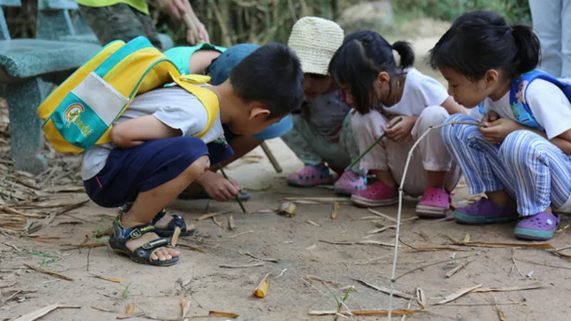 Hình ảnh chú ốc sên nhỏ bé trên lá cây