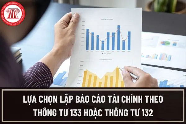 Doanh nghiệp siêu nhỏ theo Thông tư 133