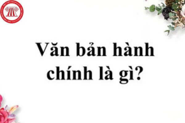 Giám Đốc Ký Văn Bản