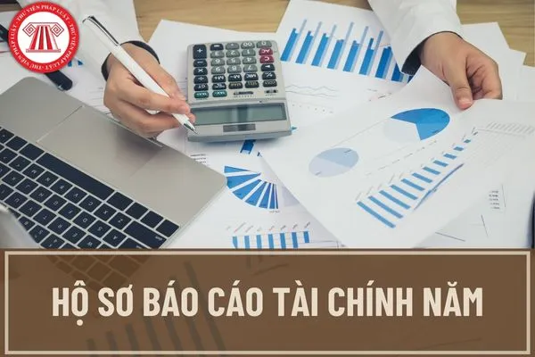 hồ sơ tài chính