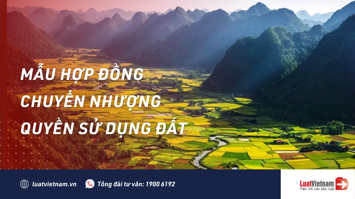 Mẫu hợp đồng chuyển nhượng nhà đất