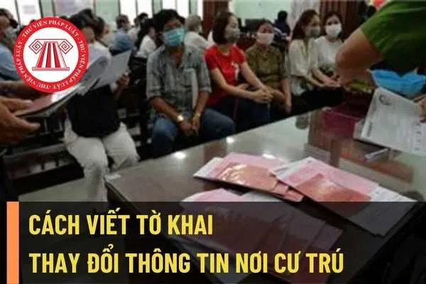 Hướng dẫn điền mẫu kê khai