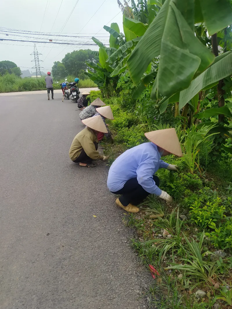 Hình ảnh khu dân cư kiểu mẫu