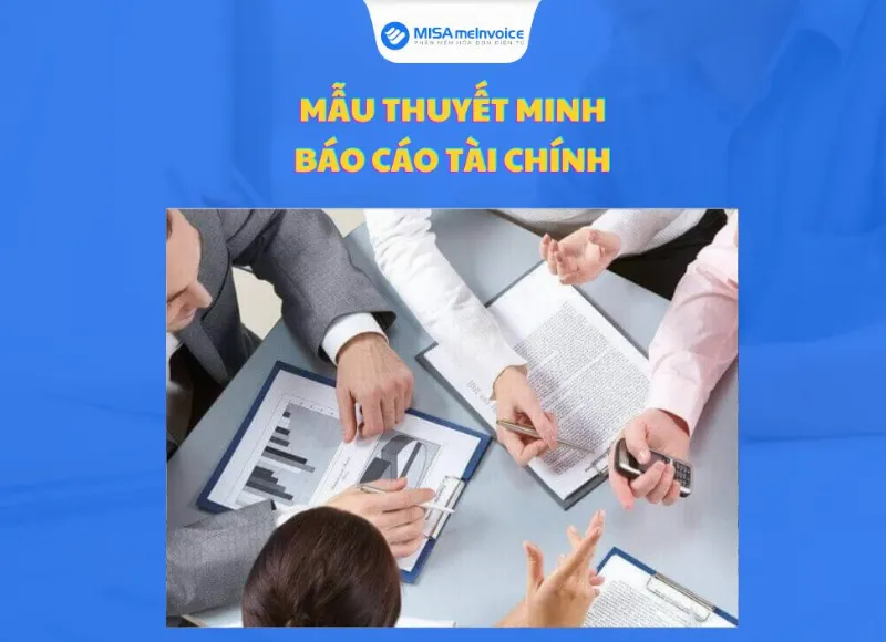 Mẫu bản thuyết minh báo cáo tài chính chi tiết