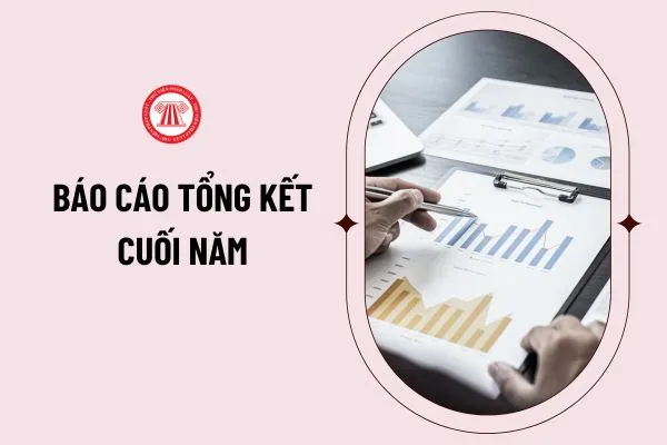 Mẫu báo cáo tổng kết