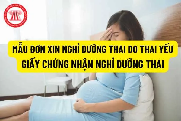 Mẫu đơn xin nghỉ dưỡng thai yếu