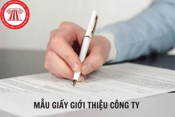 Mẫu giấy giới thiệu chuyên nghiệp