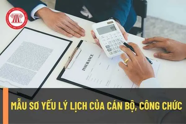 Mẫu lý lịch 2C