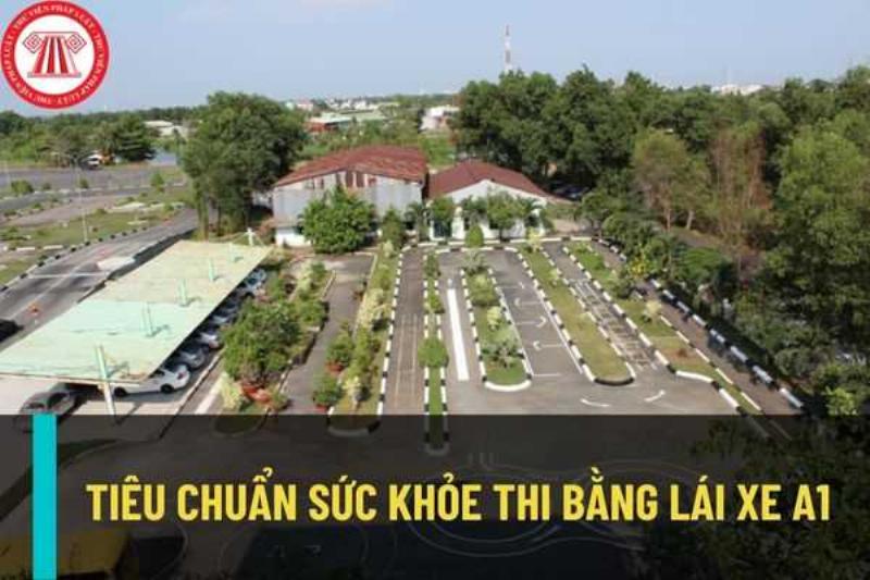 Các Tiêu Chuẩn Sức Khỏe Lái Xe A1