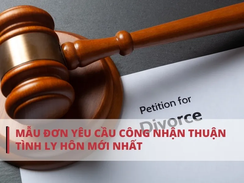 Hướng dẫn viết mẫu đơn thuận tình ly hôn viết tay