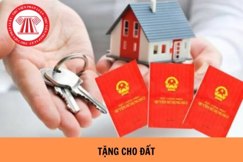 Mẫu đơn tặng đất viết tay