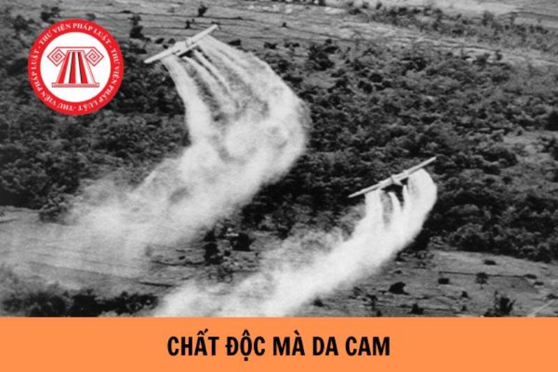 Mẫu đơn xin hưởng chế độ chất độc da cam