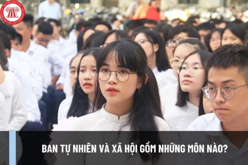 Phân chia ban tự nhiên và xã hội