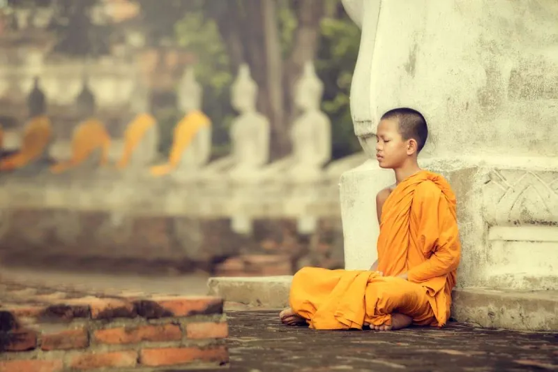 Ý nghĩa tên Thảo - Tâm hồn trong sáng