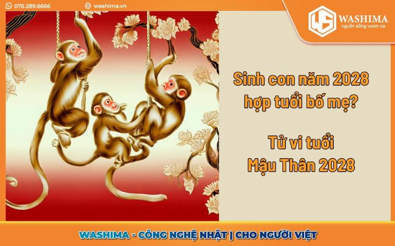 Mậu Thìn 2028 sinh con năm nào hợp?