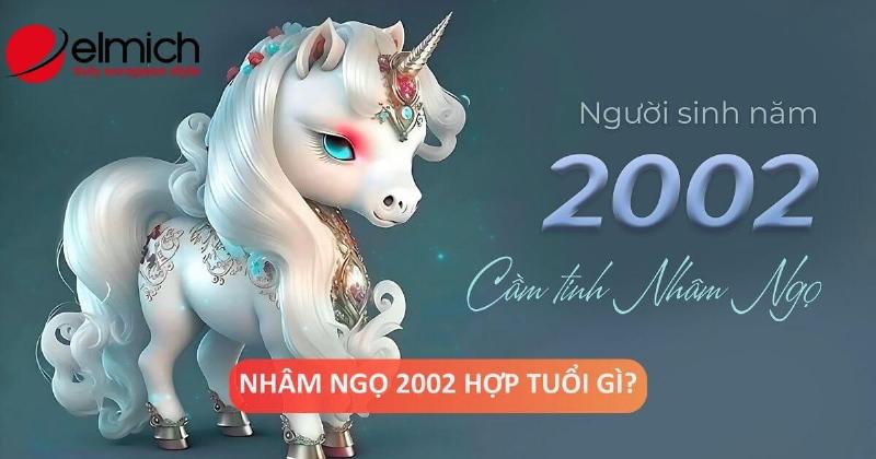 Tài lộc tuổi Ngọ 2002 nam mạng