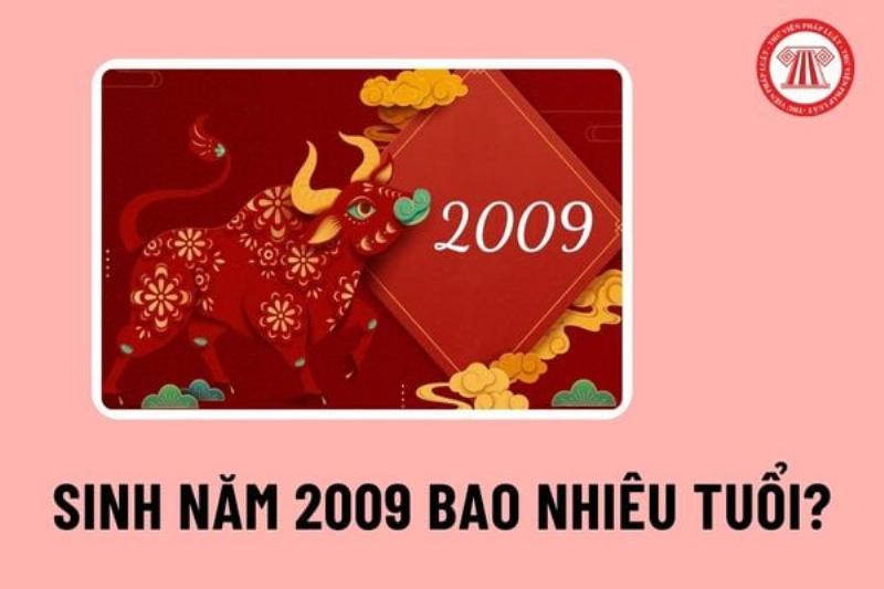 Tính tuổi sinh năm 2009