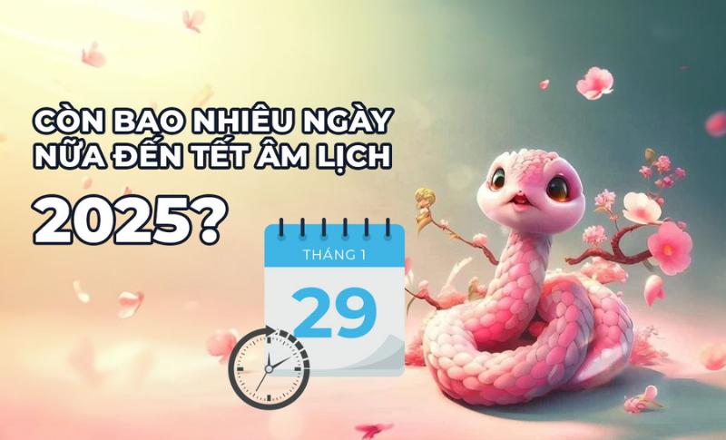 Đếm ngược đến Tết 2025