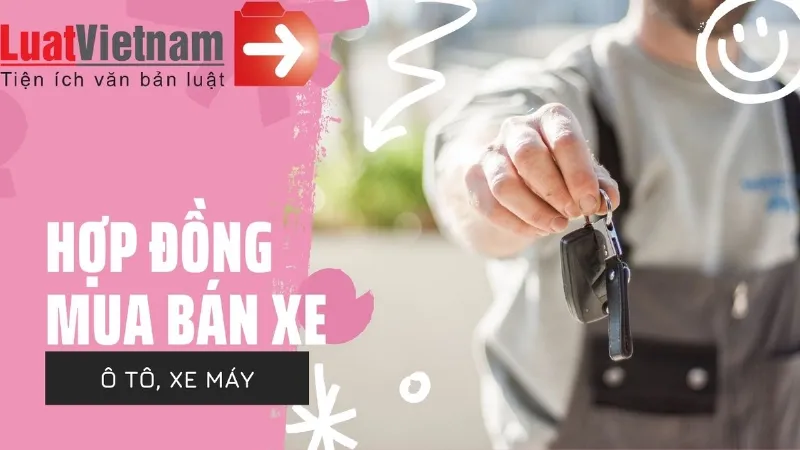 Mẫu hợp đồng mua bán xe oto cũ: Thông tin cá nhân