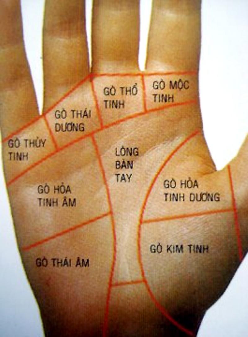 Tử vi Bính Tý 2024 nam mạng phong thủy