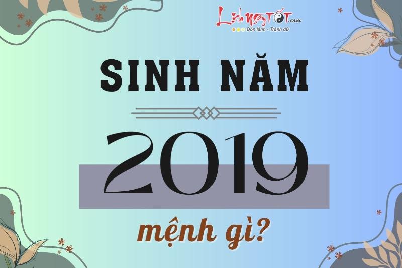 Tử vi trọn đời Kỷ Hợi 2019