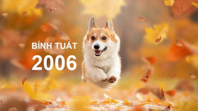 Tuổi Bính Tuất hợp tuổi nào?