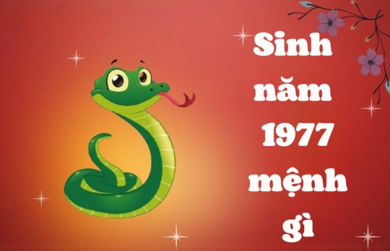 Tuổi Đinh Tỵ 1977 khắc tuổi nào trong hôn nhân?