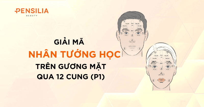 Ý Nghĩa Các Cung Trên Khuôn Mặt