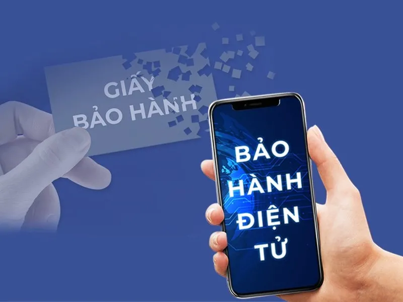 Các Loại Mẫu Cam Kết Bảo Hành