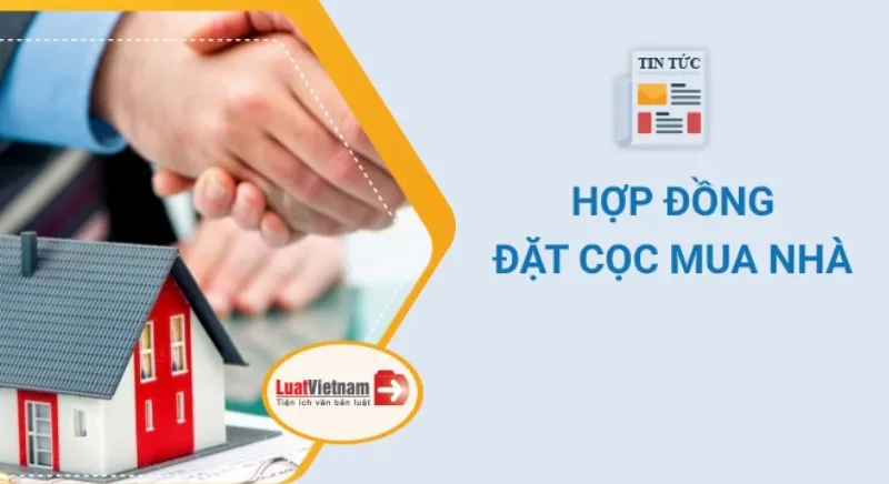 Hình ảnh Minh Họa Mẫu Giấy Cọc Tiền Mua Đất