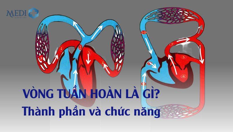 Vòng tuần hoàn của thời gian