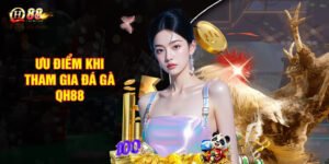 Ưu điểm khi tham gia đá gà QH88